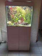 Aquarium juwel lido 120 blanc avec meuble, Ophalen, Gebruikt, Gevuld zoetwateraquarium
