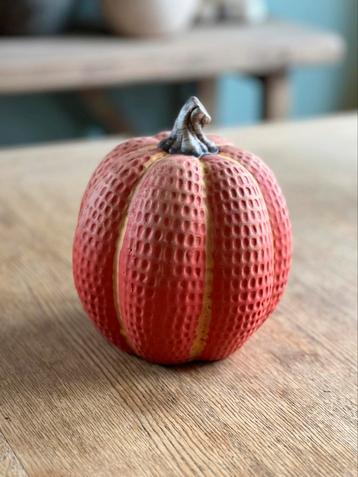 Decoratief pompoen beschikbaar voor biedingen