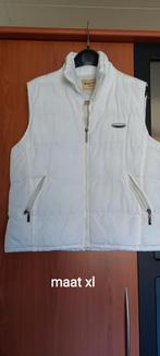Bodywarmer maat xl, Vêtements | Femmes, Blousons sans Manches, Enlèvement ou Envoi, Comme neuf, Taille 46/48 (XL) ou plus grande