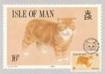 MANX  KAT  ( met echte postzegel+stempel op voorkant ! ), Collections, Cartes postales | Animaux, Chien ou Chat, Non affranchie