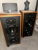 Bowers & Wilkins DM 14, Ophalen, Zo goed als nieuw, 60 tot 120 watt, Bowers & Wilkins (B&W)