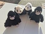 Lot de 4 peluches Pairi Daiza, Enlèvement
