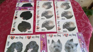 waakhondenbord voor omheind huis beschikbaar voor biedingen