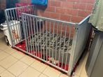 Hondenren / puppyren, Ophalen, 110 cm of meer, 65 tot 100 cm, Hondenhok