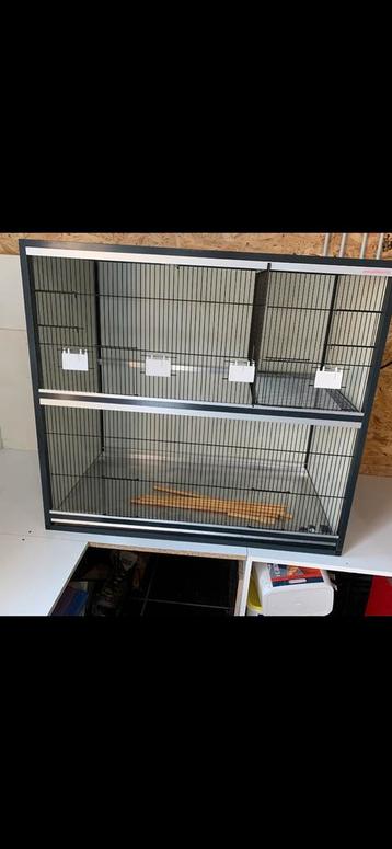 Alu kweekkooi beschikbaar voor biedingen