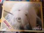 Puzzel Samson studio 100, Kinderen en Baby's, Speelgoed | Kinderpuzzels, Verzenden