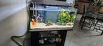 Aquarium plus matériel, Animaux & Accessoires, Poissons | Aquariums & Accessoires, Enlèvement