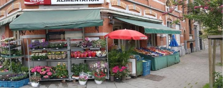 Fonds de commerce à remettre, Articles professionnels, Exploitations & Reprises