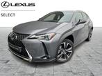 Lexus UX 250h Style Edition, Autos, SUV ou Tout-terrain, Hybride Électrique/Essence, 136 kW, Automatique