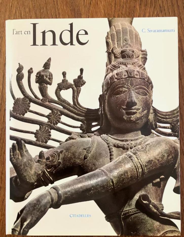 Kunst in India. Ed Mazenod, Boeken, Kunst en Cultuur | Beeldend, Zo goed als nieuw, Ophalen of Verzenden