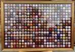 kader met 384  champagnecapsules, nieuw, muselets, Ophalen