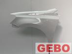 Volkswagen polo 6R 2009/2014 links voorspatbord LB9A, Volkswagen, Ophalen of Verzenden, Spatbord, Nieuw