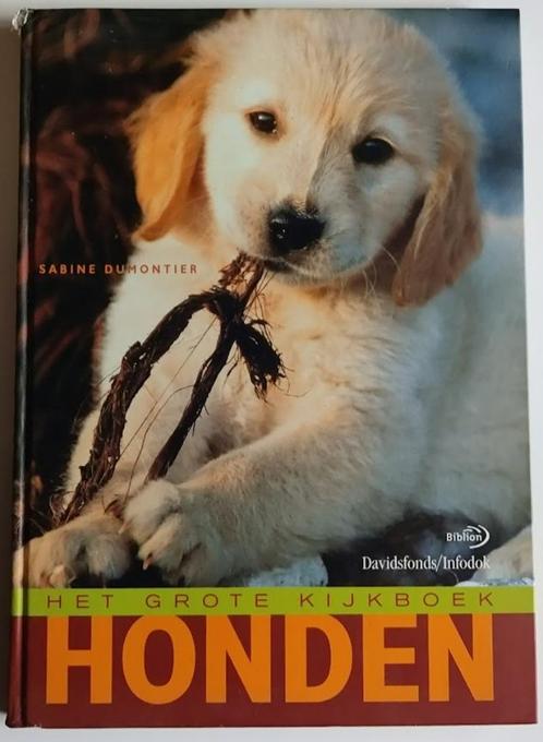Het grote kijkboek / Honden, Boeken, Dieren en Huisdieren, Zo goed als nieuw, Honden, Ophalen of Verzenden