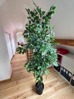 FEJKA plant (Ikea), Ophalen, Zo goed als nieuw, Binnen