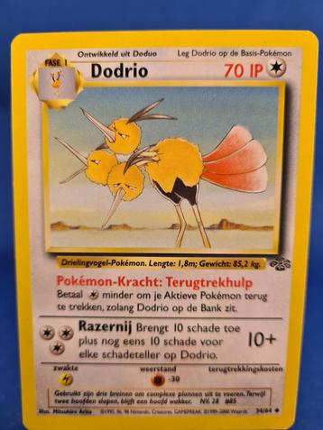 Dodrio 34/64 - Jungle (NL) beschikbaar voor biedingen