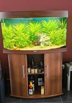 Aquarium Juwel Vision 180 liter, Dieren en Toebehoren, Ophalen, Gebruikt