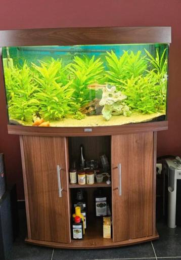 Aquarium Juwel Vision 180 liter beschikbaar voor biedingen