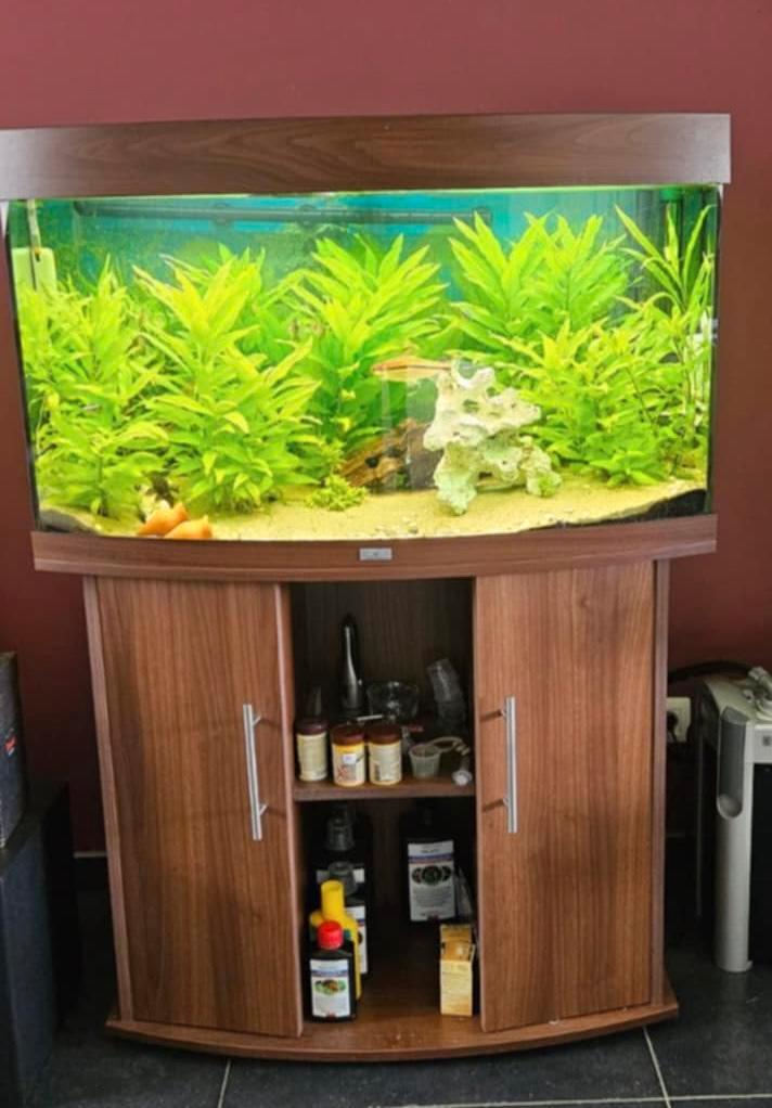 Aquarium Juwel Vision 180 liter, Dieren en Toebehoren, Vissen | Aquaria en Toebehoren, Gebruikt, Ophalen