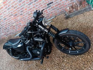 Harley Iron 883, Motoren, Motoren | Harley-Davidson, Particulier