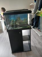 Aquarium, Dieren en Toebehoren, Ophalen of Verzenden, Zo goed als nieuw