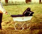 Te koop: Iconische Silver Cross Kinderwagen uit 1981, Ophalen, Zo goed als nieuw, Kinderwagen, Overige merken