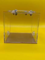 Le monde extérieur est petit, Fourmis