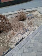 Steentjes als bodembedekker of hondentoilet, Tuin en Terras, Grind, Keien en Split, Ophalen