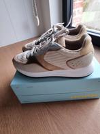 TK: sneakers - Hoff - maat: 39, Hoff, Enlèvement ou Envoi, Autres couleurs, Sneakers et Baskets