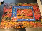 Puzzel chinese tuin 1000stuks, Hobby en Vrije tijd, Ophalen, Zo goed als nieuw