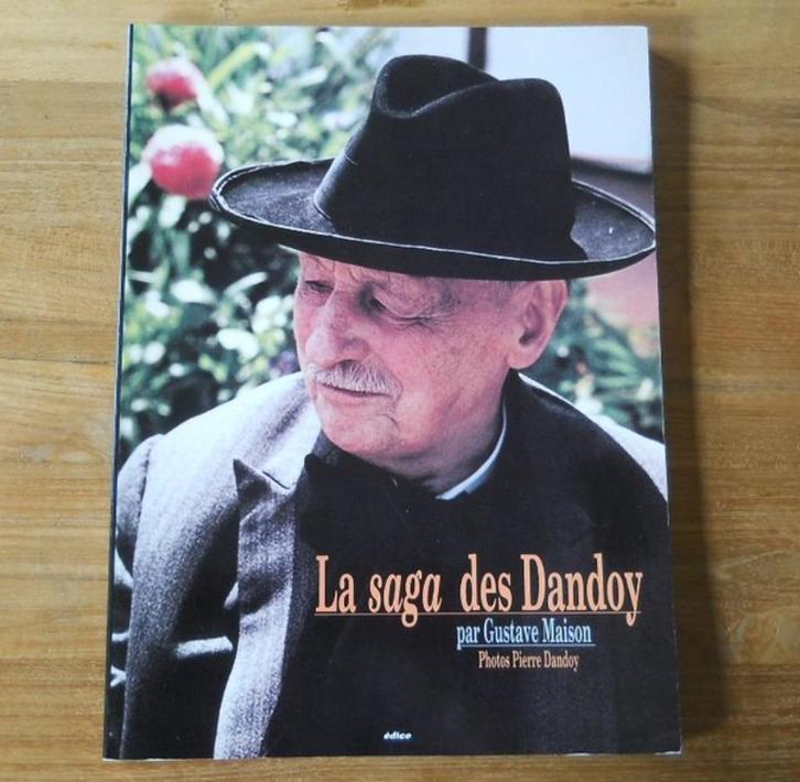 La saga des Dandoy (G. Maison, photos P. Dandoy) - Namur, Boeken, Kunst en Cultuur | Beeldend, Gelezen, Ophalen of Verzenden
