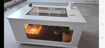 Terrarium bois tortues pagina reptiles neuf, Enlèvement, Comme neuf