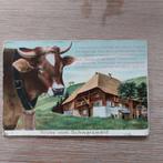 Oude reliefkaart Schwarzwald, Ophalen of Verzenden