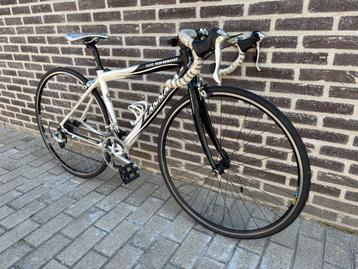 DAMES koers race fiets Zannata Kadermaat 48 perfecte staat beschikbaar voor biedingen