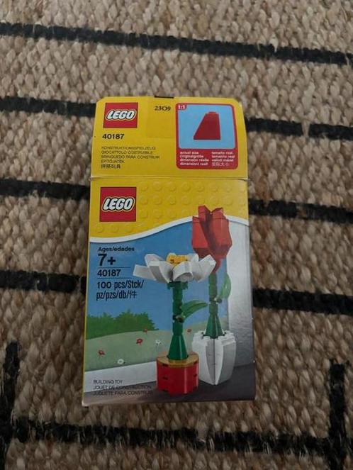 LEGO 40187 Flower Display, Kinderen en Baby's, Speelgoed | Duplo en Lego, Zo goed als nieuw, Lego, Complete set, Ophalen of Verzenden