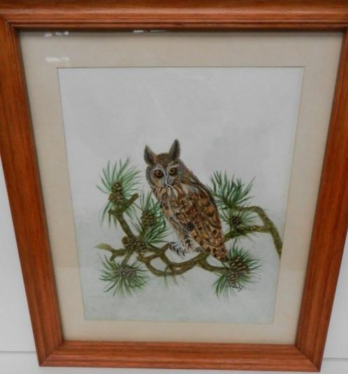 Aquarelle OWL signée F. Wood, Antiquités & Art, Art | Peinture | Classique, Enlèvement ou Envoi