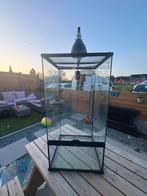 Exo terra paludarium 45x45x90, Dieren en Toebehoren, Ophalen, Zo goed als nieuw