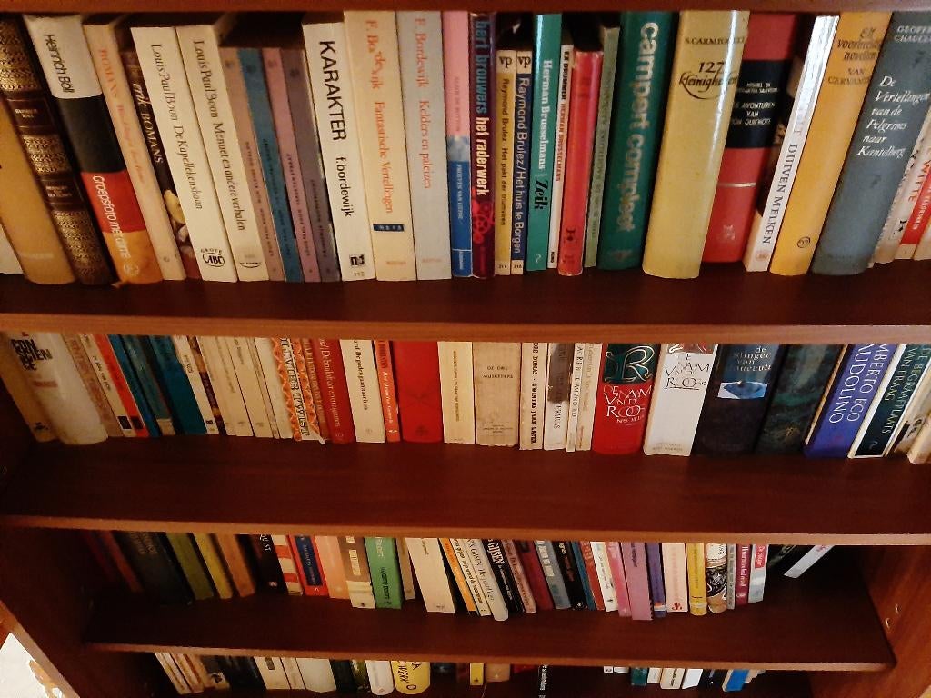 Groot Pakket boeken te koop / los te koop, Boeken, Ophalen of Verzenden
