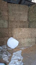 Hooi grote balen, 540kg, Dieren en Toebehoren, Ophalen