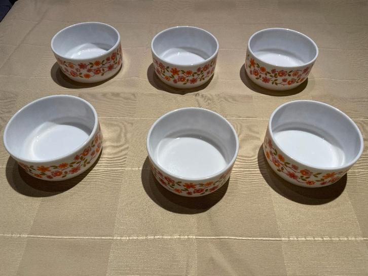 6 identieke kommen Arcopal VINTAGE - RETRO, Verzamelen, Retro, Ophalen of Verzenden