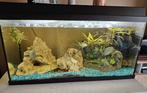 Volledige visbak met ongeveer 11 vissen pomp en warmtebuis e, Dieren en Toebehoren, Ophalen
