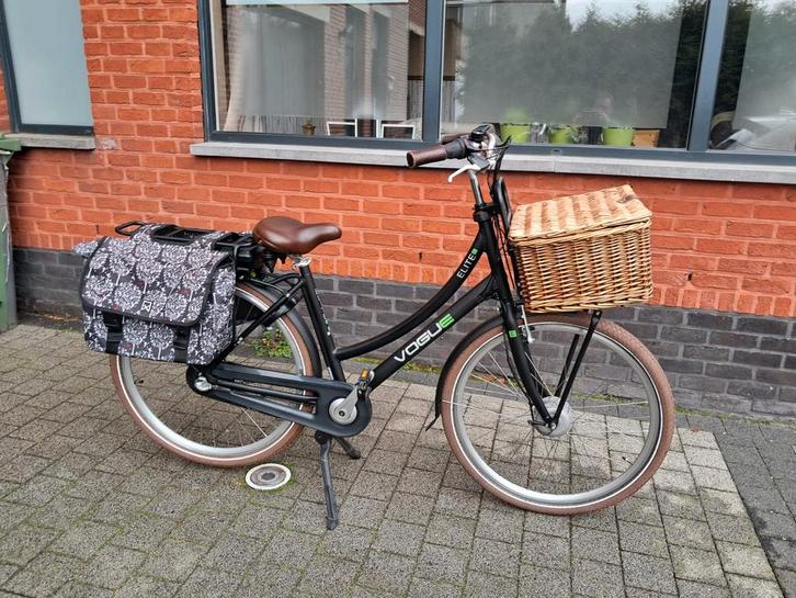 Electrische transportfiets, Fietsen en Brommers, Elektrische fietsen, Ophalen