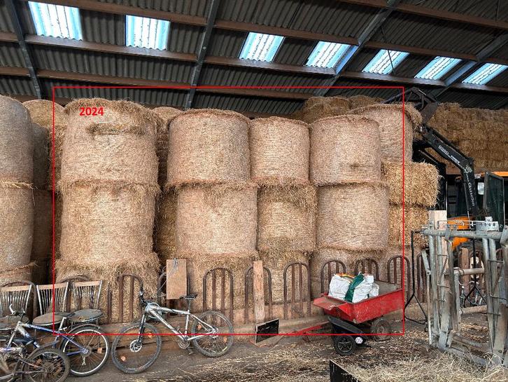 Foin, Dieren en Toebehoren, Dierenvoeding, Ophalen