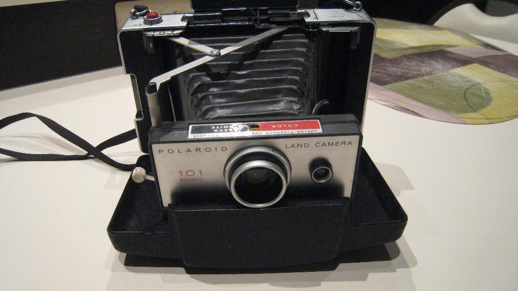 polaroid, Collections, Enlèvement