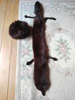 Etole en renard, Vêtements | Femmes, Bonnets, Écharpes & Gants, Taille 42/44 (L), Sans marque, Comme neuf, Enlèvement