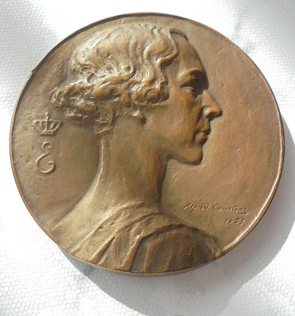 médaille bronze de la croix rouge Reine Elisabeth (Fonson), Enlèvement ou Envoi, Bronze