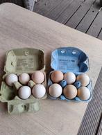 Kalkoen broedeieren, Ophalen, Zo goed als nieuw