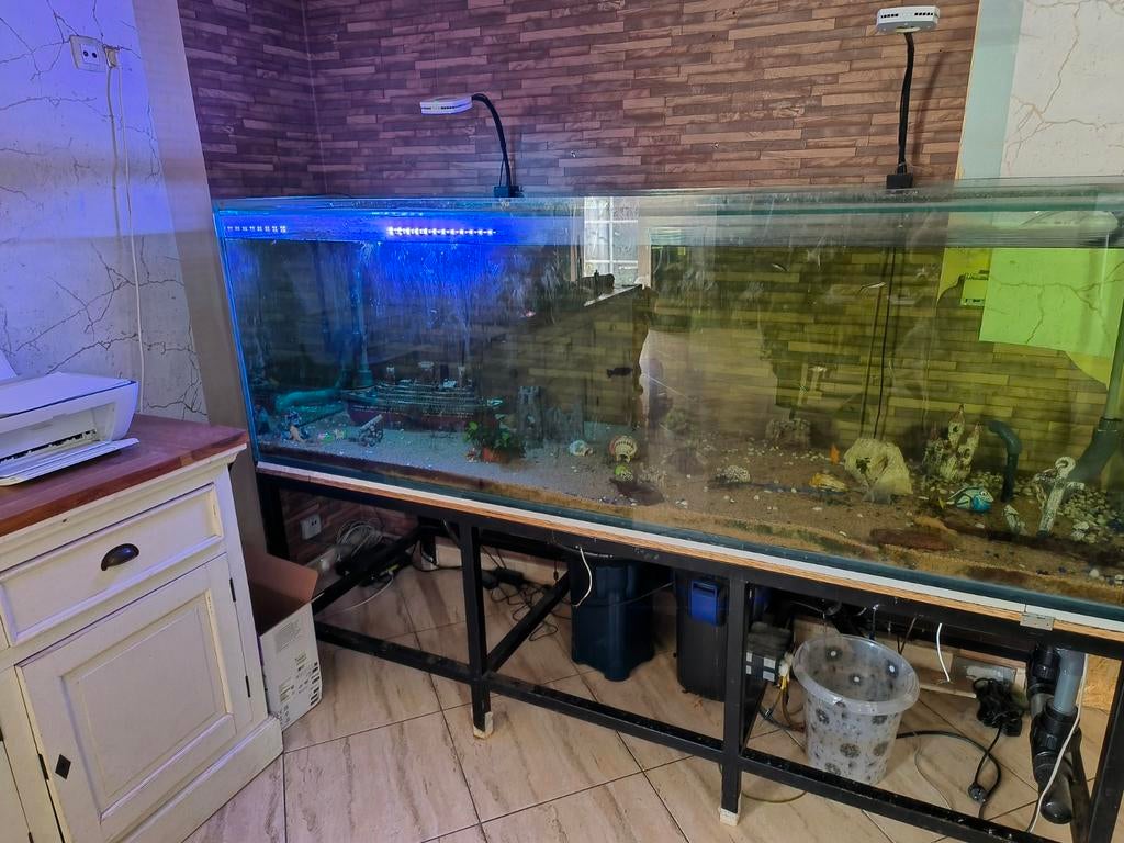 Aquarium avec accessoires, Animaux & Accessoires, Poissons | Aquariums & Accessoires, Enlèvement