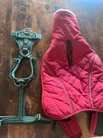 Hondentuigje + Gewatteerde Winterjas (NIEUW!), Dieren en Toebehoren, Ophalen, Zo goed als nieuw, Hondenjas