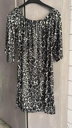 Nieuw OVERSIZED LOLA LIZA DRESS grijs zwart wit TU, Kleding | Dames, Lola Liza, Ophalen of Verzenden, Nieuw, Overige kleuren