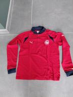 Maillot de football Olympiakos Piraeus, Taille L, Enlèvement ou Envoi, Maillot